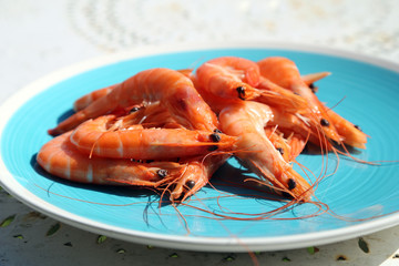 scampi