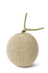closeup of fresh melon