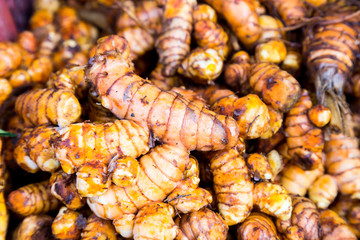 Heaps of freshly harvested turmeric roots