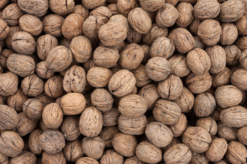 Pile of whole fresh walnuts