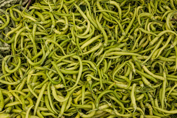 Group of green peppers
