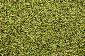 Fototapeta premium Beautiful green grass seamless.