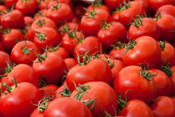 Group of tomatoes