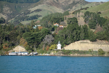 Fototapeta premium Zatoka portowa w Akaroa