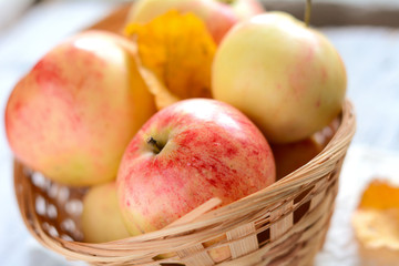 Naklejka na ściany i meble Freshly picked autumn apples in basket. Rustic seasonal still life shot