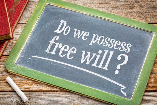 Do we possess free wil question on blackboard