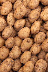 Group of potatoes
