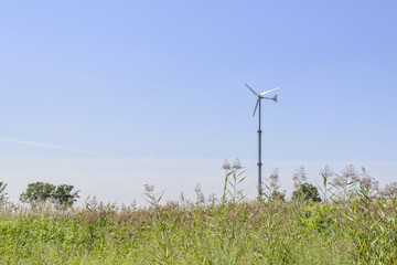 silver grass field with wind power generator