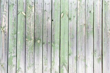 Green wooden background