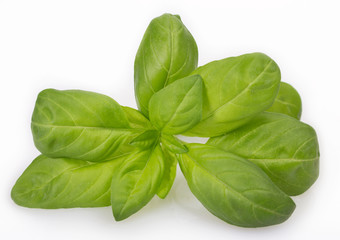 Fresh basil