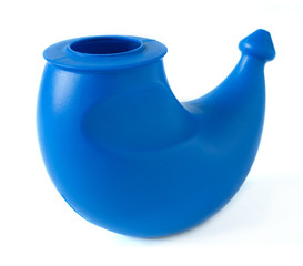 Equipment for flushing the nasal cavities of the nose