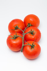 トマト（房付きのトマト）　縦位置