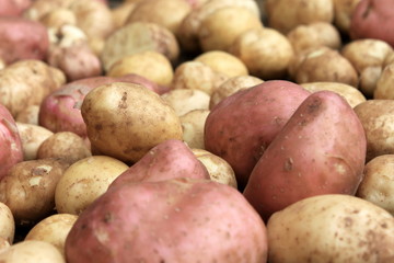 potatoes raw vegetables food on sacking for pattern texture and background