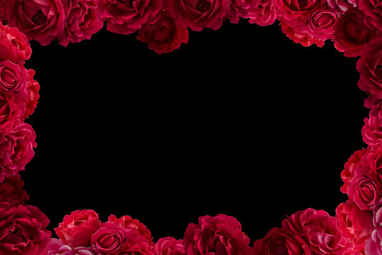 Frame with bush of red rose flowers background isolated on black
