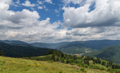 Fototapeta premium paysage alsacien