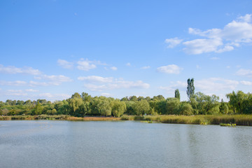 Fototapeta na wymiar lake with trees
