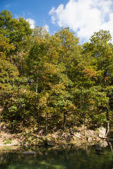 pond and trees in sunny day