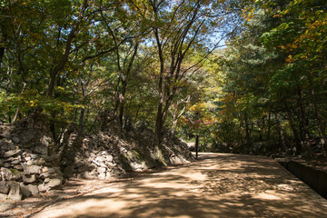 path way in Mungyeongsaejae in Korea