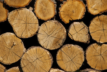 Fototapeta premium Cross section of the timber. A stack of dry firewood laid in a h