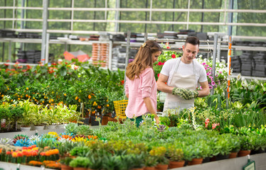 Young worker offers flowers in greenhouse