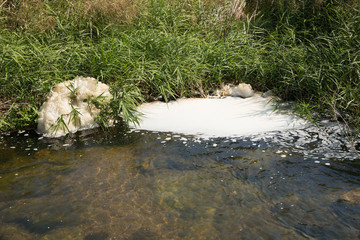 closeup of polluted water