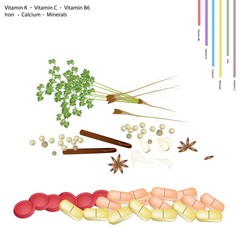Chinese Spices with Vitamin K, C, B6 and Minerals