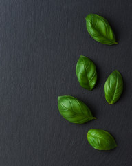 Fresh basil leaves on black slate