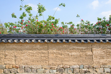 korean traditional wall with red rose