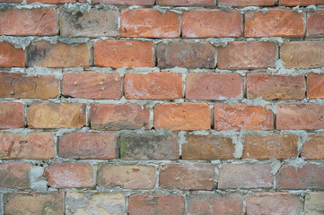 Fototapeta premium Wall of bricks