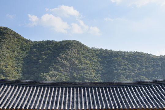 tiled roof of Korean traditional Architecture