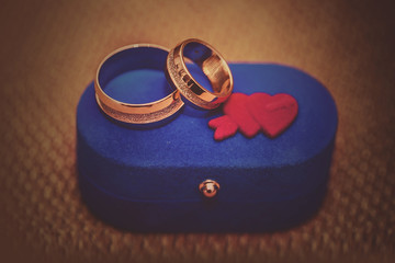 wedding rings in a blue box