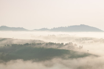 Fog covered mountains and forest in the morning.