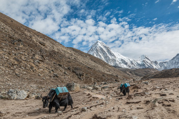 Fototapeta na wymiar Himalayan Mountains in Nepal