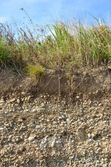 sedimentary layer