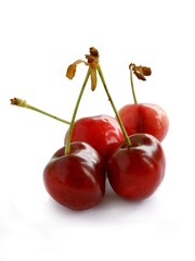 sweet cherries