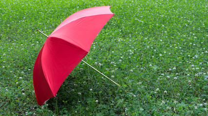 Red umbrella on the green grass background