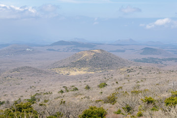 Landscape with Oream at Yeongsil Trail course