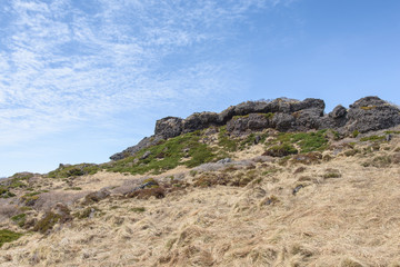 plants and rock at the Witset-Oreum in Hallasan mountain