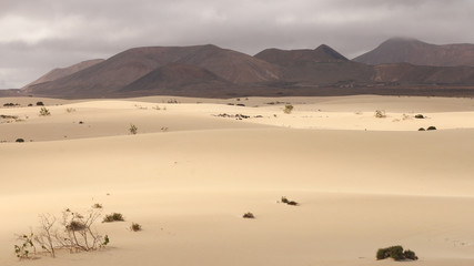 Fototapeta na wymiar Dunes of Corralejo