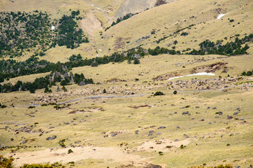 Plateau View from Witse-Oreum in Yeongsil