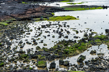 basaltic shore in Jeju