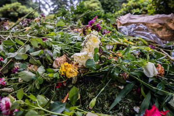 verwelkte Blumen auf dem Kompost