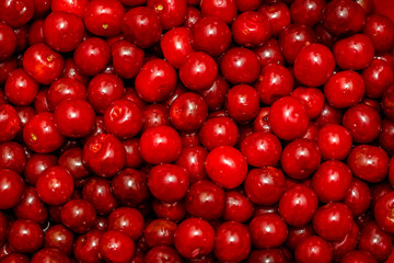 sweet red cherry background