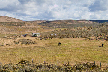 Countryside of Tierra del Fuego island