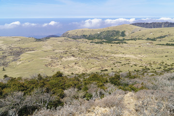 Plateau View from Witse-Oreum in Yeongsil