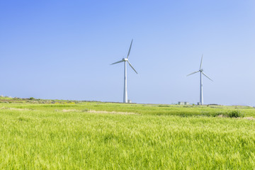 Landscape of green barley field and wind generato