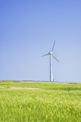 Landscape of green barley field and wind generato