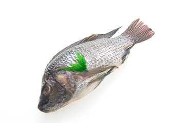Raw fresh fish