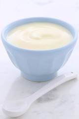 Fresh plain yogurt