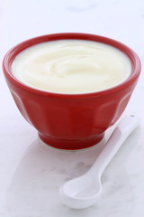 Fresh plain yogurt